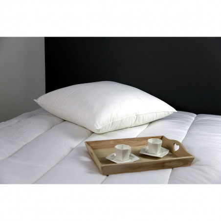 Oreiller microstar Médium Anti-Acariens "DODO" 60 x 60 cm
