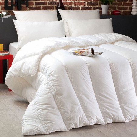 Pack Couette Dodo Microstar 240 x 260 cm pour lit 2 places "King Size" + 2 Oreillers Microstar 60 x 60 cm