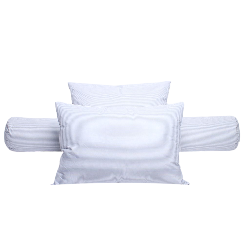 Lot De 2 Oreillers Plumes 65x65 Cm - Confort Ferme Et Naturel - Fabriqué En France - Pour Un Sommeil Douillet