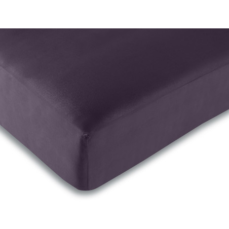 Pack 2 pièces HDC 140 x 200 + Drap housse Offert unie prune 100% Coton / 57 Fils/cm²
